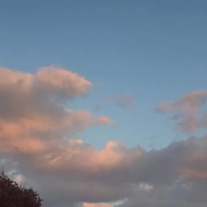 Meet your Posher, Maggie